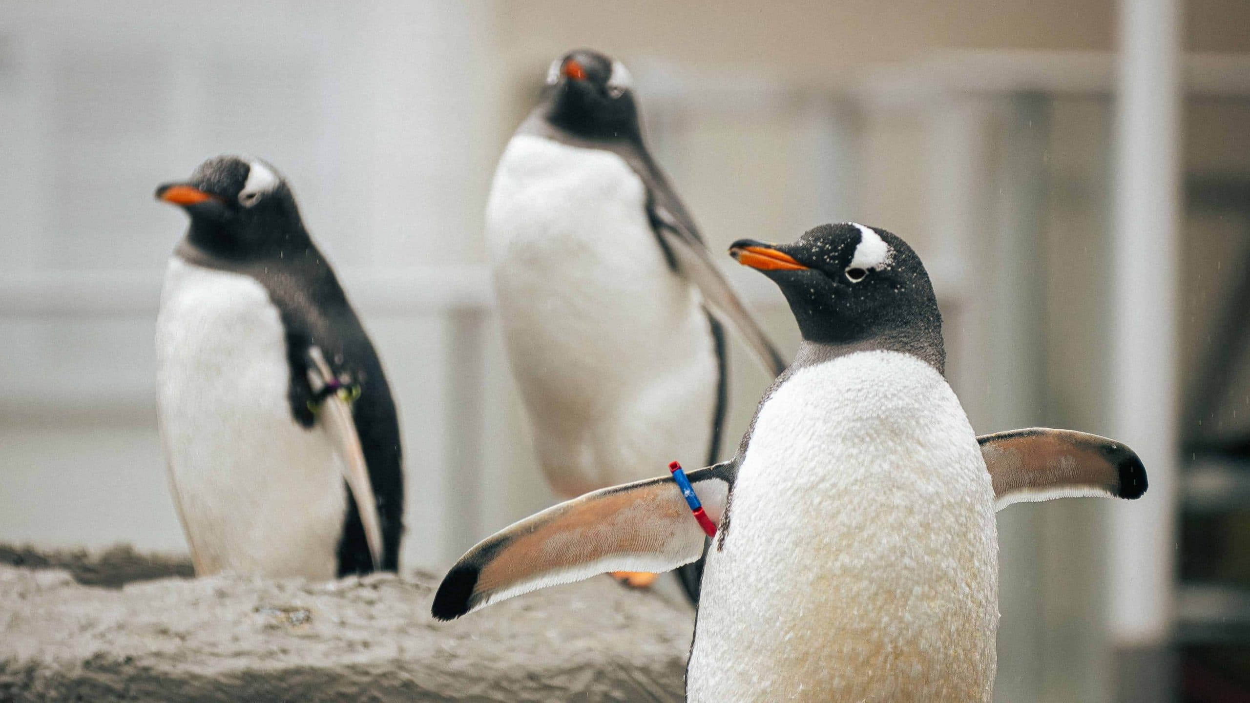 20% off at Bergen Aquarium
