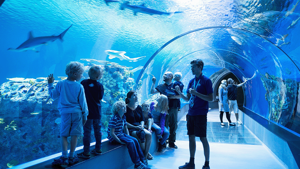 Bergen Aquarium